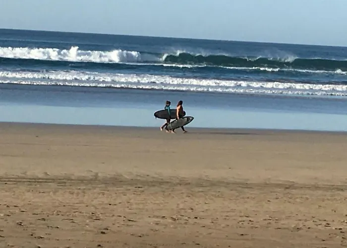 Palmeras